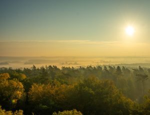montferland bergherbos