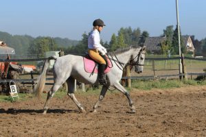 Paardrijden Montferland