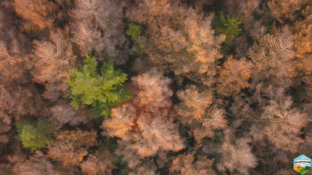 51e Herfstkleurentocht Kilder - 25 & 26 oktober 2025